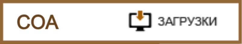 certificate icon